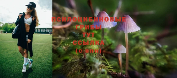винт Богданович