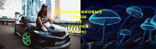 ГАЛЛЮЦИНОГЕННЫЕ ГРИБЫ Бронницы