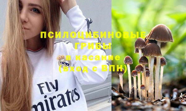 ГАЛЛЮЦИНОГЕННЫЕ ГРИБЫ Бронницы