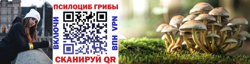 Псилоцибиновые грибы Psilocybe  Полтавская 